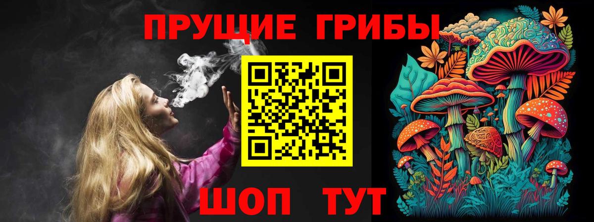 Галлюциногенные грибы GOLDEN TEACHER Кировск